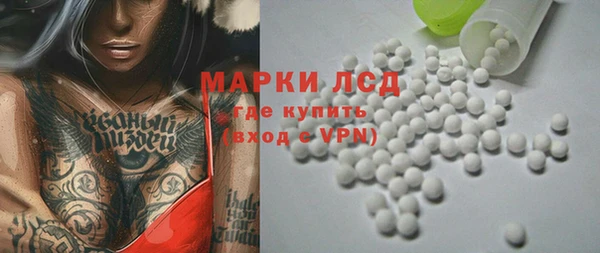 ГАЛЛЮЦИНОГЕННЫЕ ГРИБЫ Аркадак