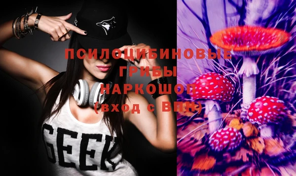 PSILOCYBIN Арсеньев