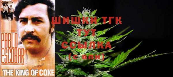 PSILOCYBIN Арсеньев