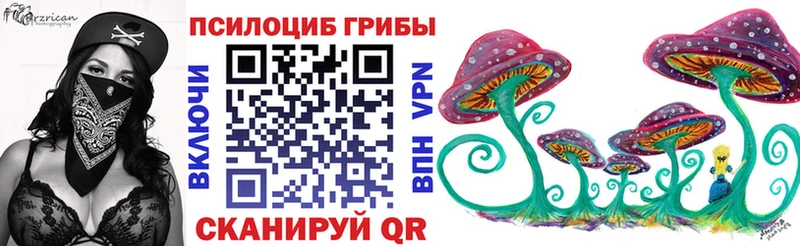 KRAKEN как войти  Певек  сайты даркнета клад  Галлюциногенные грибы Psilocybe 